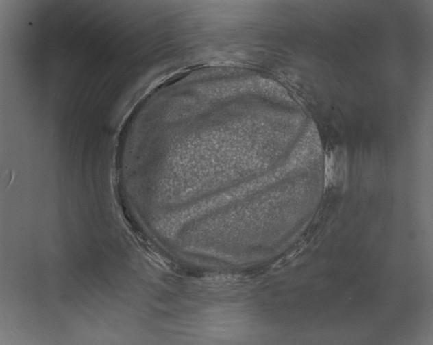 X0000073430291200608181154