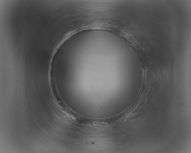 X0000073430292200608181154