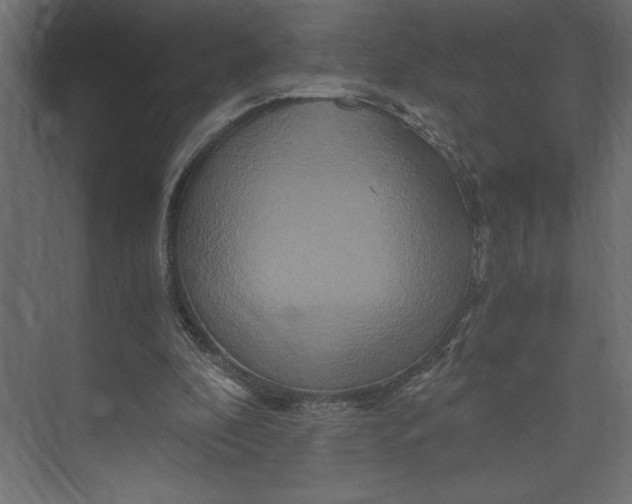 X0000073430296200608181154