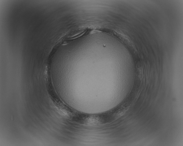 X0000073430308200608181154