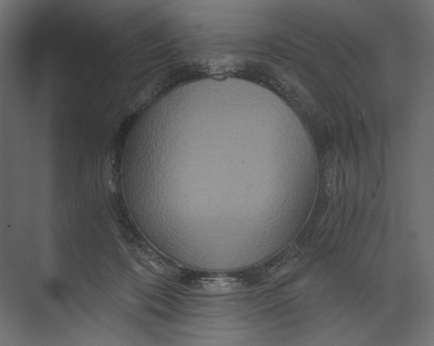 X0000073430316200608181153