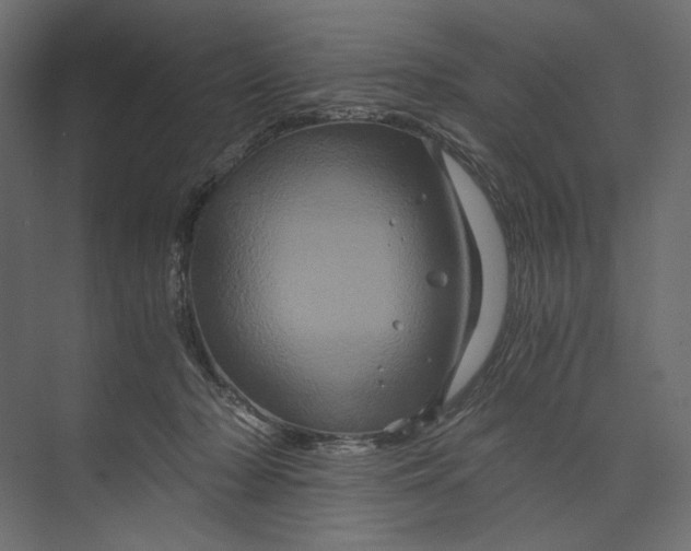 X0000073430318200608181153