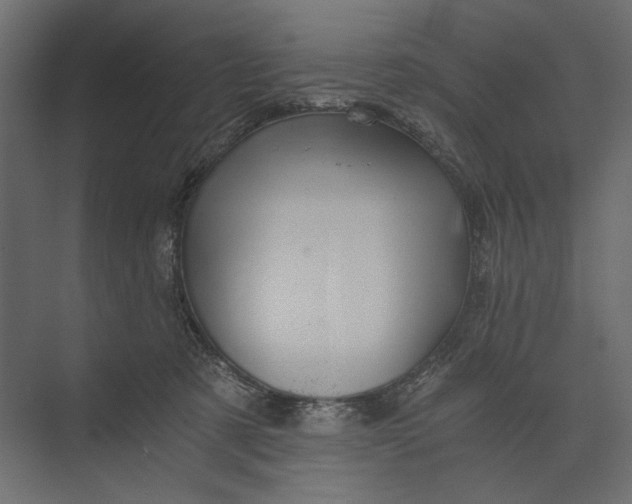 X0000073430321200608181153