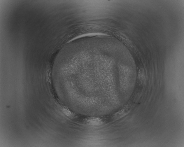 X0000073430322200608181153