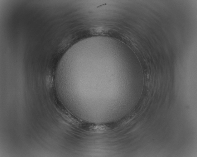 X0000073430324200608181153