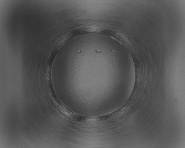 X0000073430325200608181153