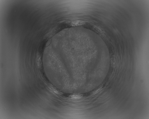 X0000073430327200608181153