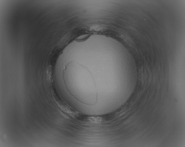 X0000073430328200608181153