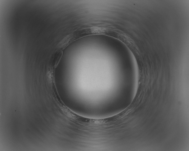 X0000073430329200608181153