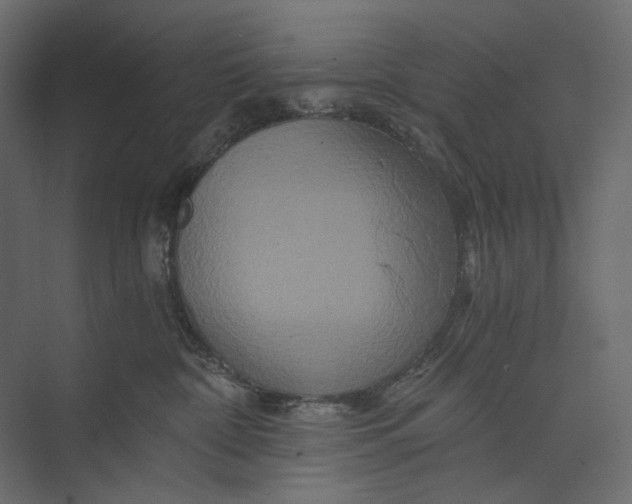 X0000073430332200608181153