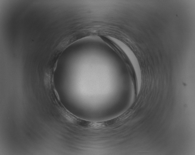 X0000073430333200608181153
