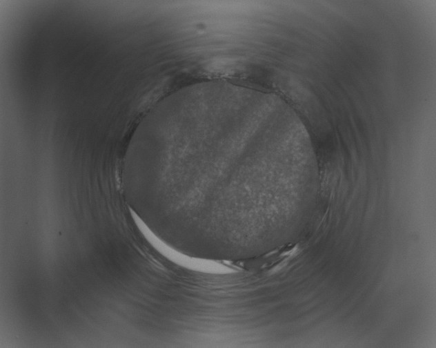 X0000073430335200608181153