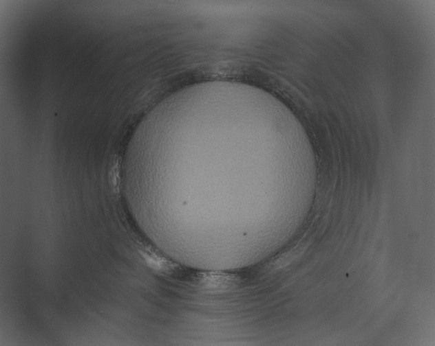 X0000073430336200608181153