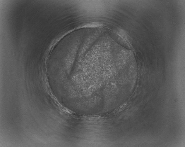 X0000073430337200608181152