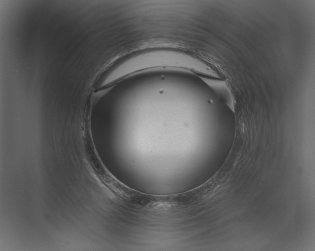 X0000073430352200608181153