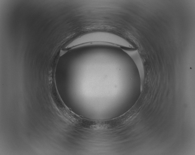 X0000073430356200608181153