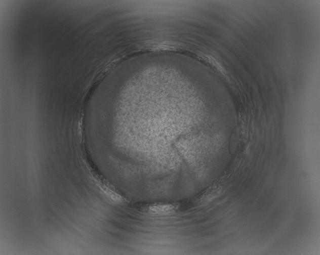 X0000073430357200608181153