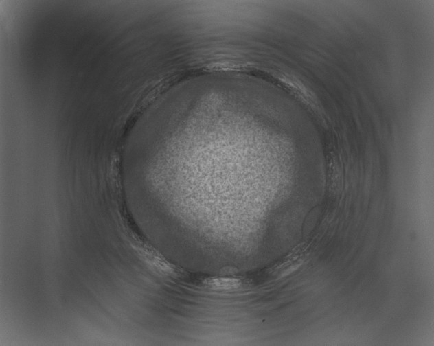 X0000073430361200608181153