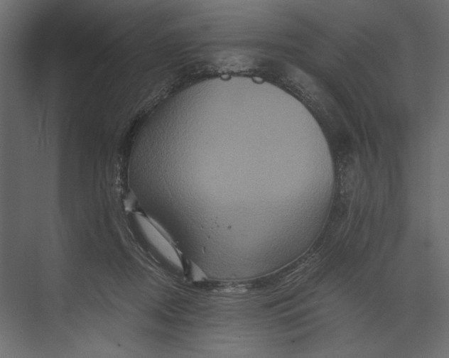 X0000073430362200608181153