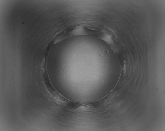 X0000073430364200608181153