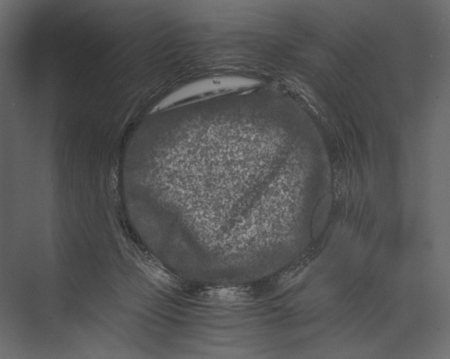X0000073430365200608181153