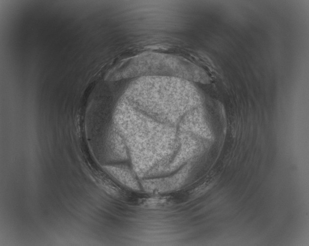 X0000073430366200608181153