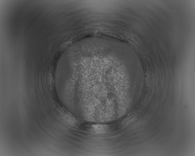 X0000073430371200608181153