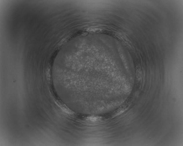 X0000073430375200608181153