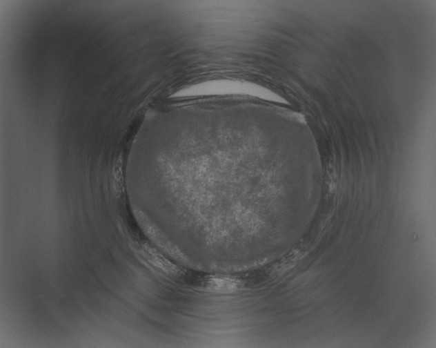 X0000073430376200608181153