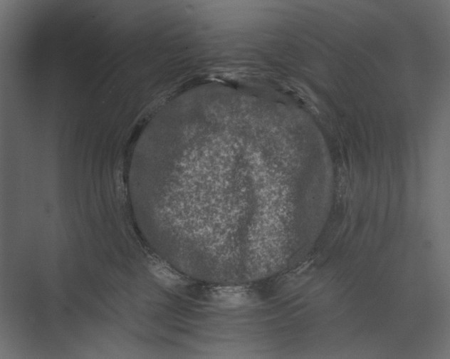 X0000073430377200608181153