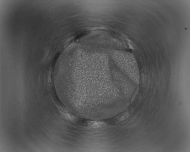 X0000073430379200608181153