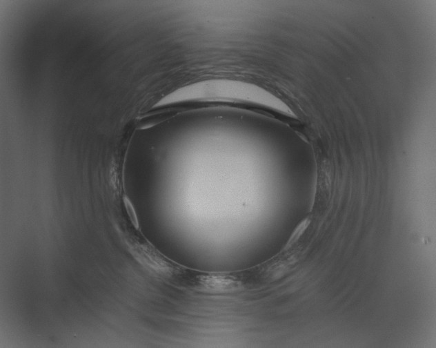 X0000073430380200608181153