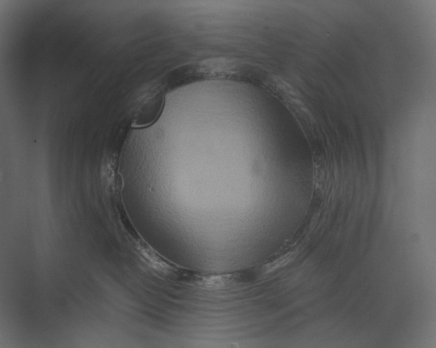 X0000073430382200608181153
