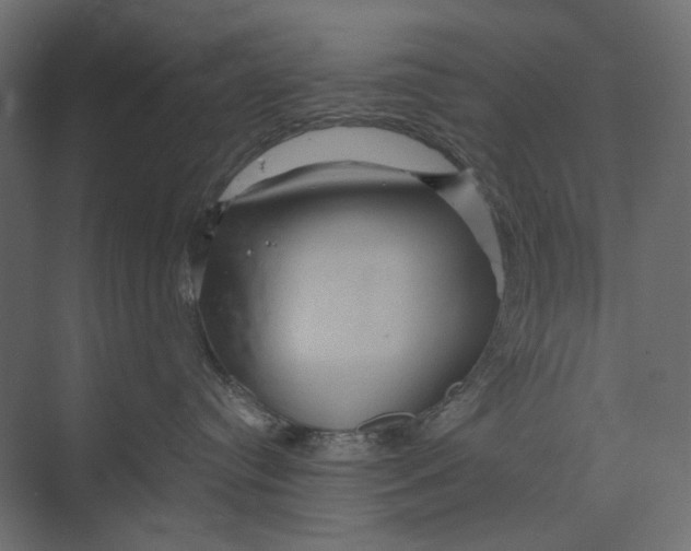 X0000073430384200608181153