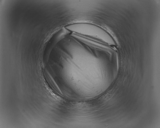 X0000073430385200608181152