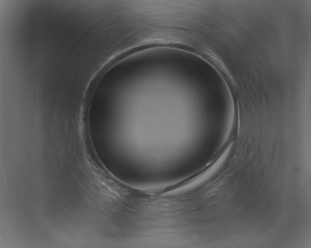 X0000073430387200608181152