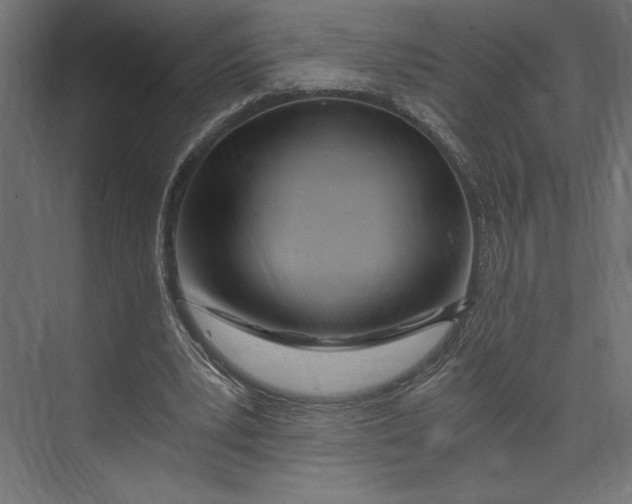 X0000073430391200608181152