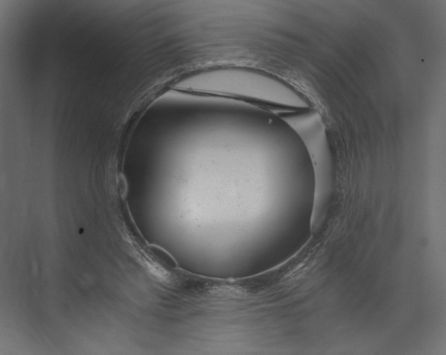 X0000073430397200608181152