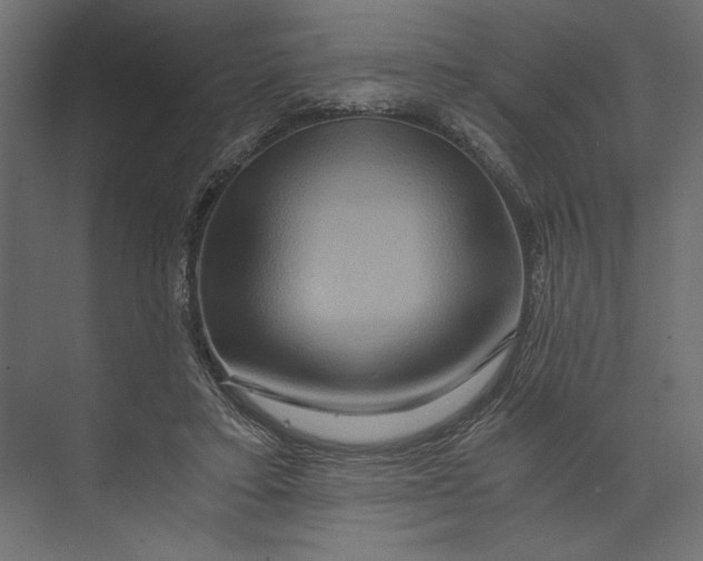 X0000073430403200608181152