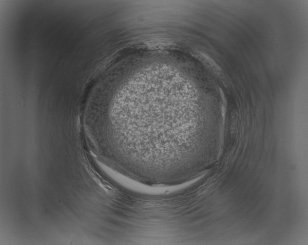 X0000073430405200608181152