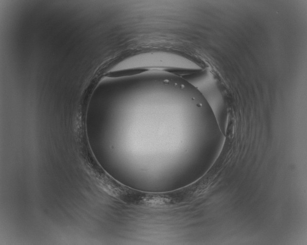 X0000073430407200608181152