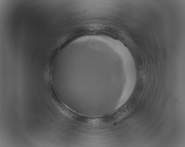 X0000073430411200608181152