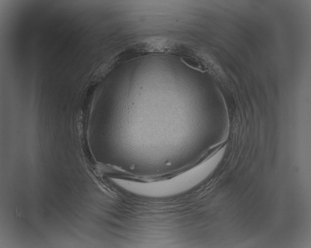 X0000073430413200608181152