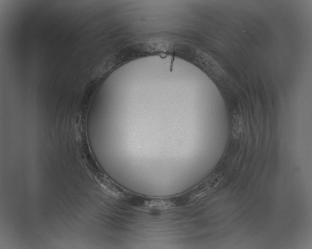 X0000073430414200608181152