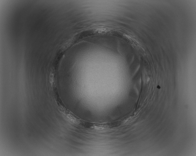 X0000073430417200608181152
