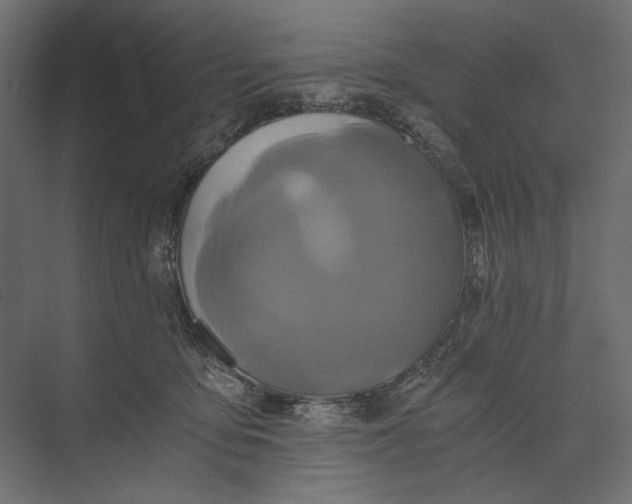 X0000073430419200608181152