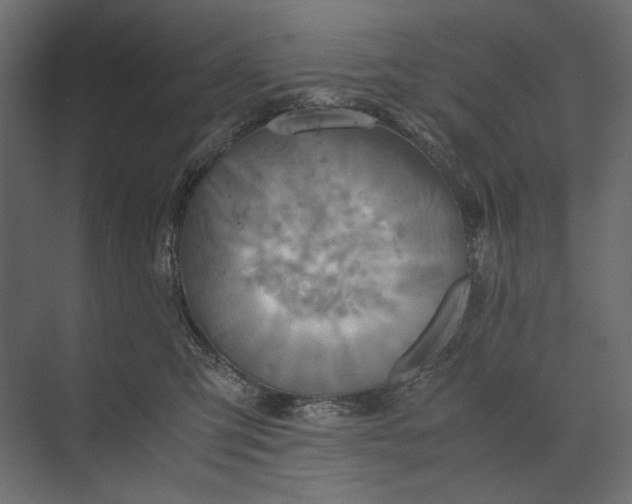 X0000073430423200608181152