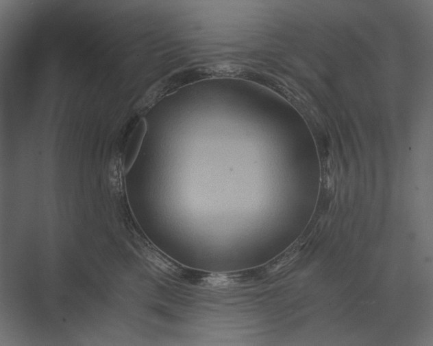 X0000073430425200608181152