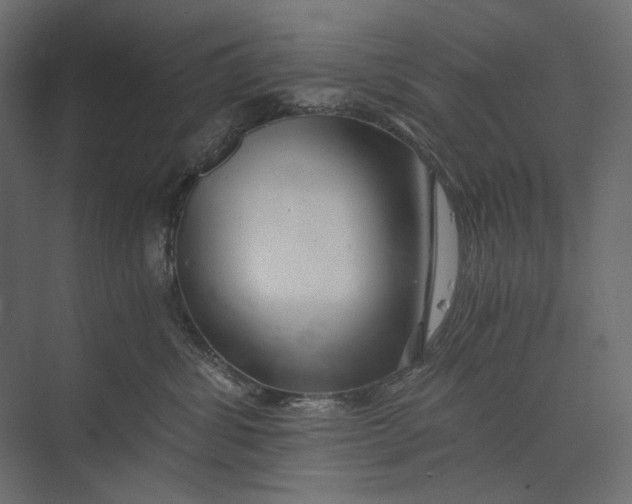 X0000073430428200608181152