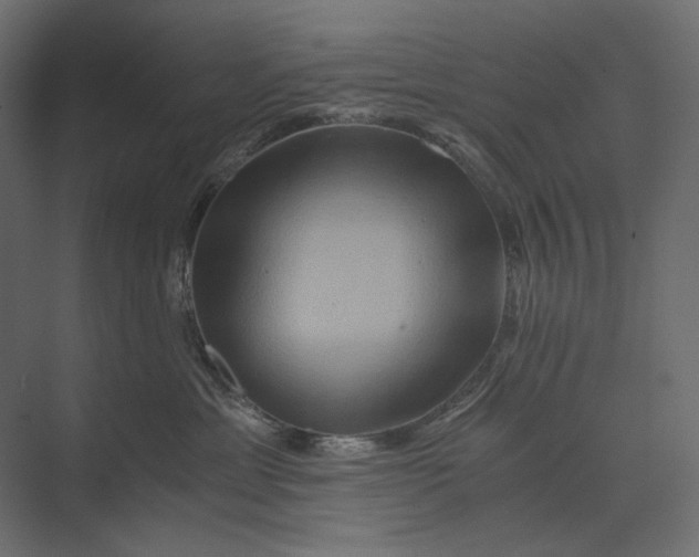 X0000073430429200608181152